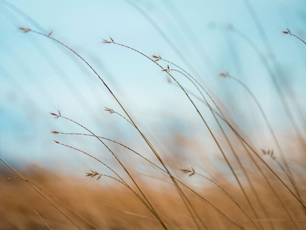 aaron burden tqf8fcnynrk unsplash